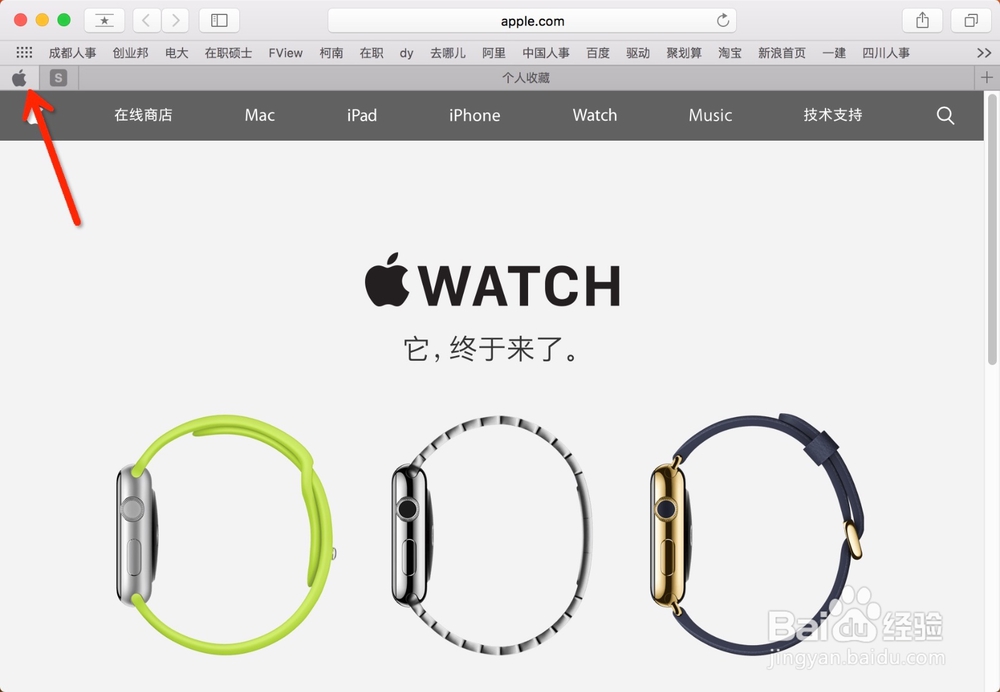 Mac新Safari一键静音和网页标签固定功能