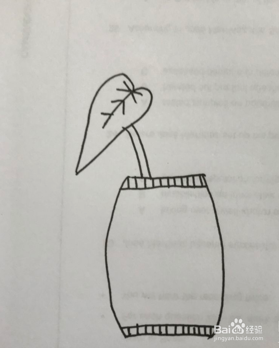 龟背竹简笔画怎么画