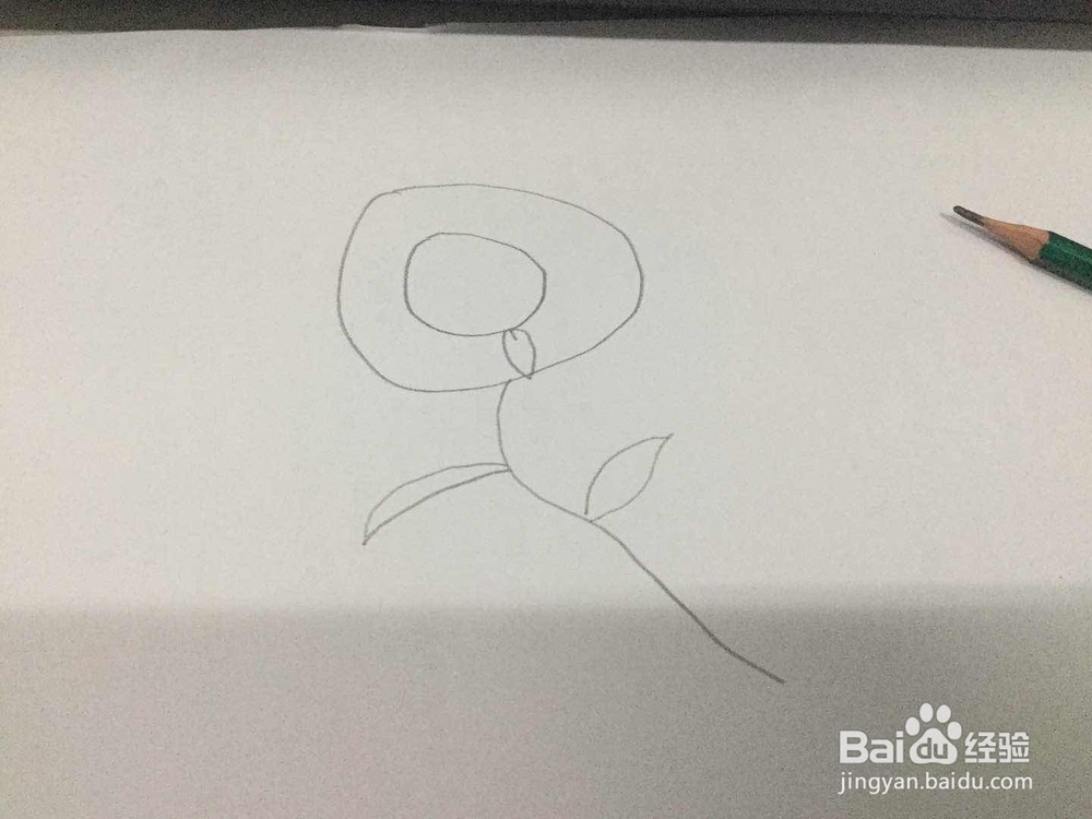 如何快速的画出向日葵