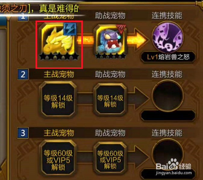 火炬之光宠物如何进行升星