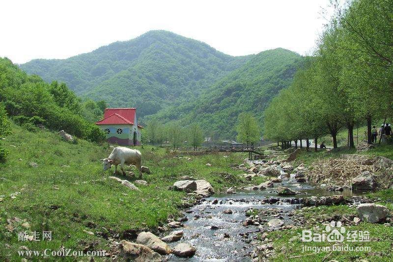 环境不好的景点会被取代吗