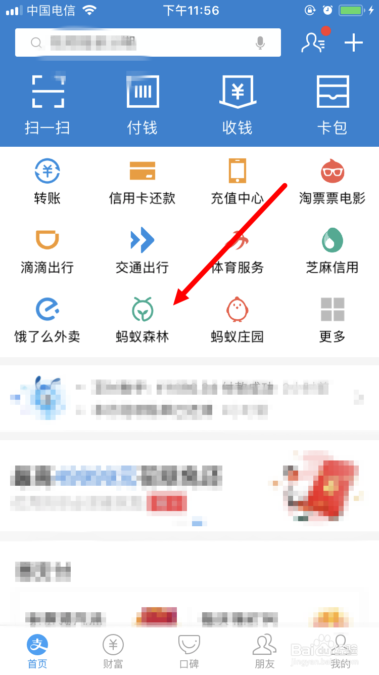 支付宝 95公益周 有什么内容