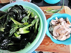 椒油口蘑小油菜