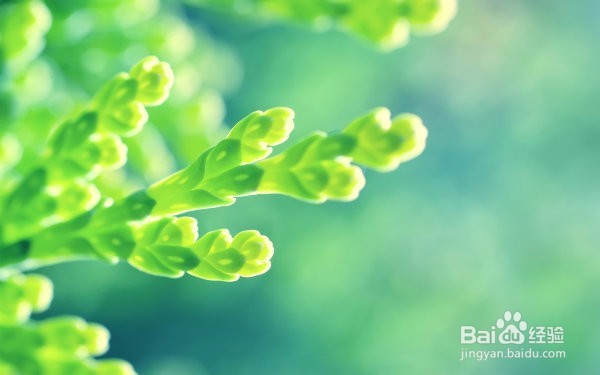 2018考研英语用什么教材打基础