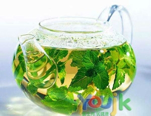 桑叶加菊花 缓解春燥很简单