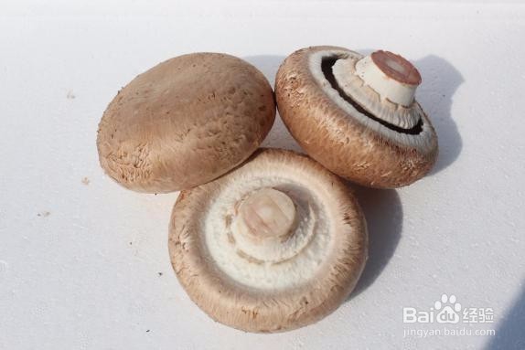 刺身褐菇应该怎么清洗?