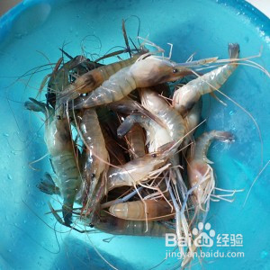 罗氏虾-十三香螺丝虾