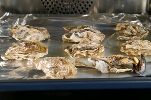 河虾籽豉油蒸生蚝