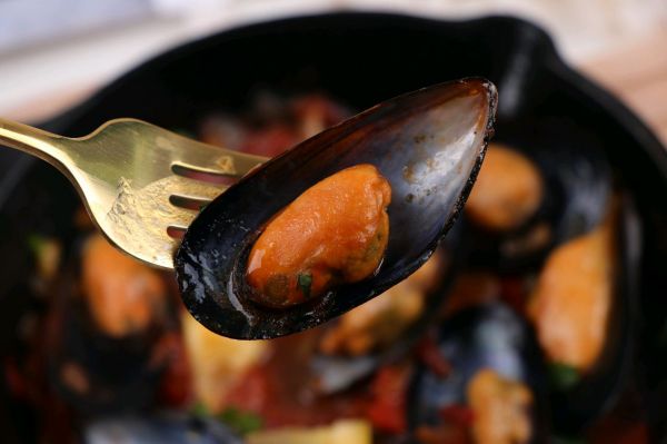 十分钟茄汁焗贻贝