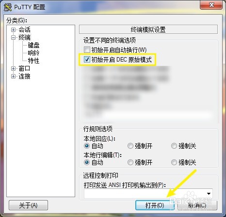 Putty怎么设定初始开启DEC原始模式