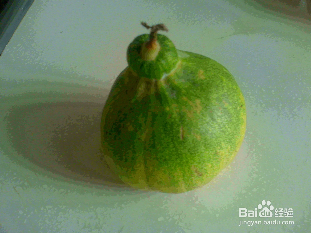 #智能# 老年人用相机捕捉甲克虫吃香瓜的画面