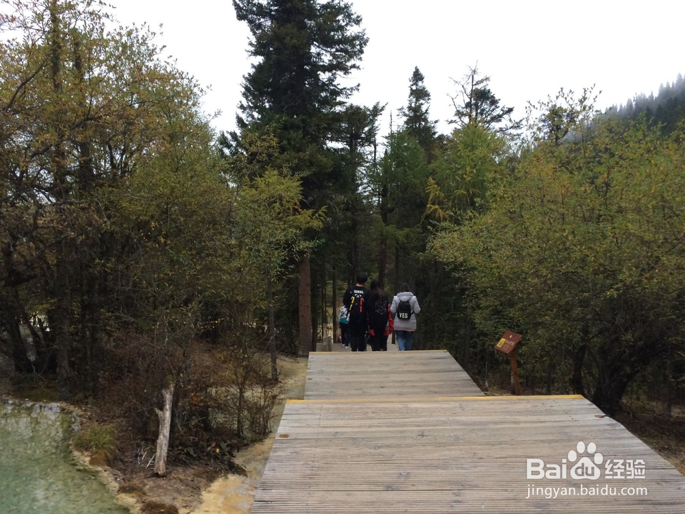 四川九寨沟、黄龙3天2夜旅游攻略