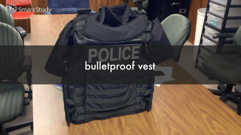 vest是什么意思