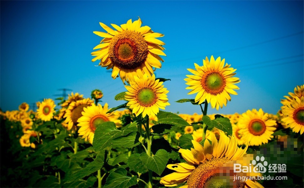 内向女生如何变得开朗