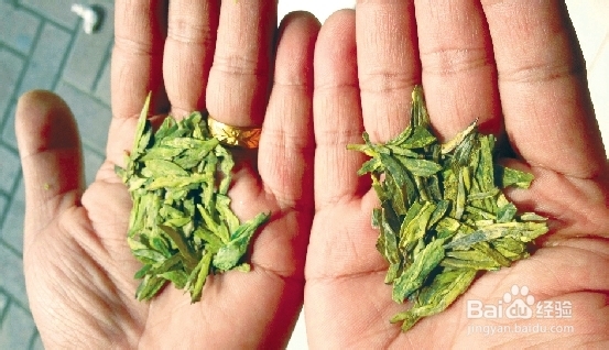 鉴别新茶与旧茶的方法（技术篇）带图