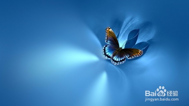 癌症的初步了解和预防（个人观点）