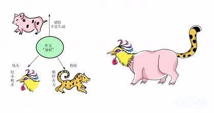 如何写好任务驱动型作文