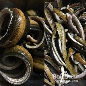 怎么做响油鳝丝