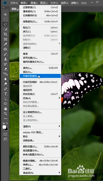 PS如何进行镜像填充