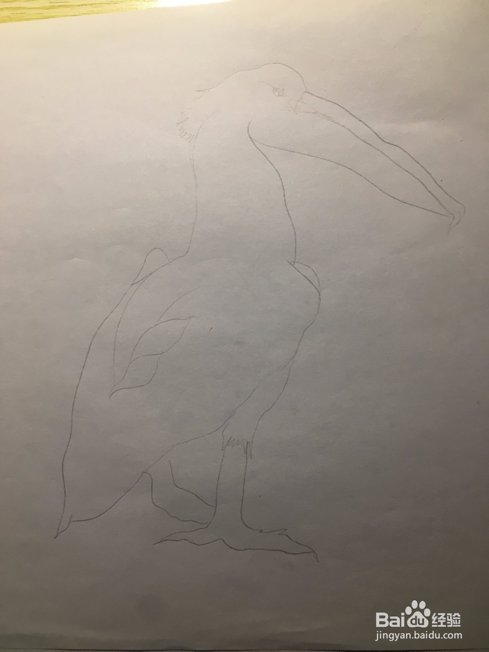 画一只长嘴巴的鸟儿 简笔画之鸟儿 儿童画 线描