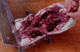 盛夏肥美时节——清蒸甲鱼