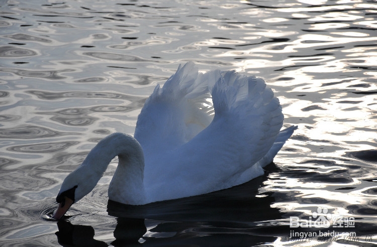 失恋之晴空万里：[2]失恋后的世界是什么样的