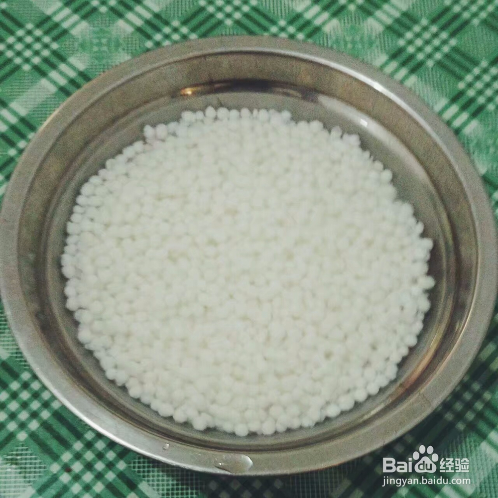 如何亲自动手做牛奶水果西米露