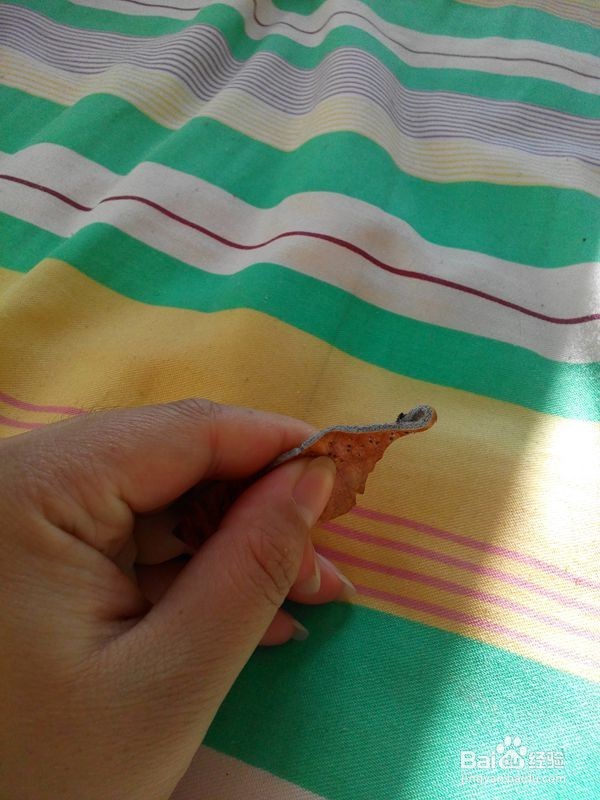 旧皮包改造——系列作品