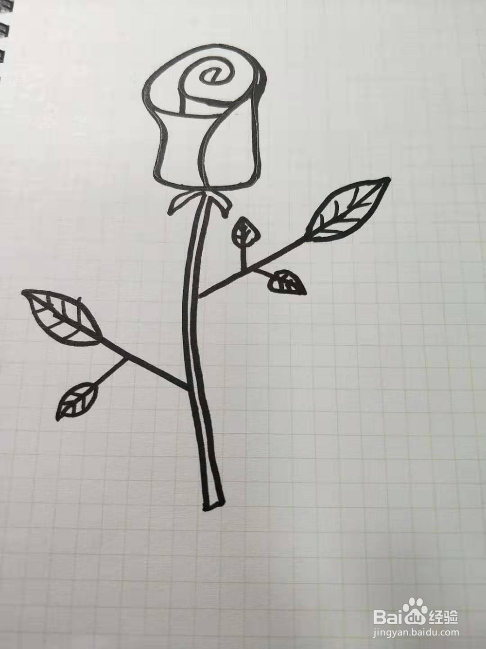 如何画玫瑰花简笔画？