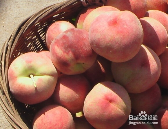 怎样在超市挑选优质桃子