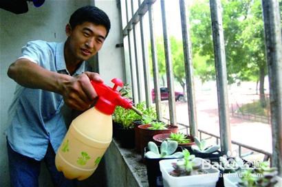 怎样利用残茶等剩余物质浇花