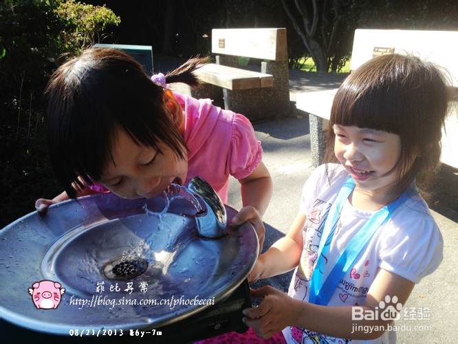 教你做吮指酒糟凤爪