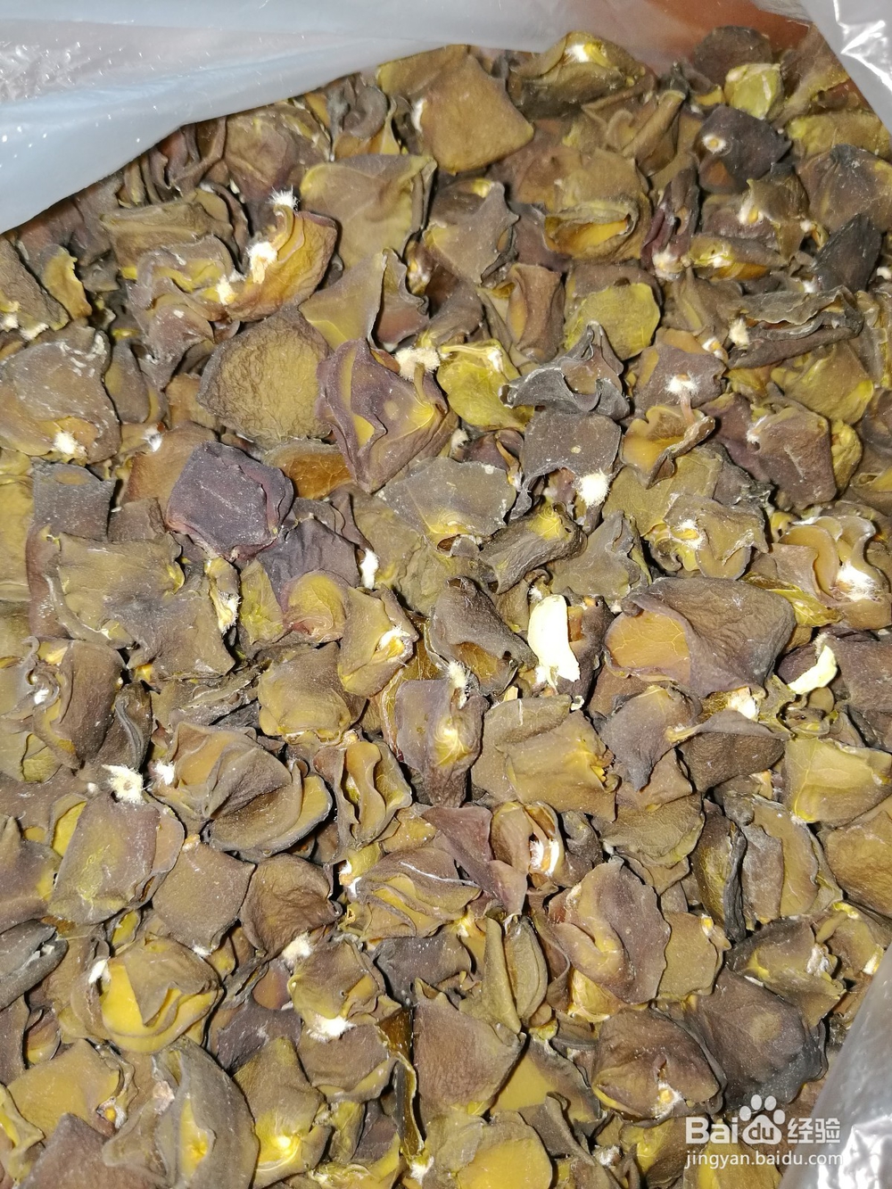 榄钱烘干机的烘干时间计算及烘干系统容量的配置