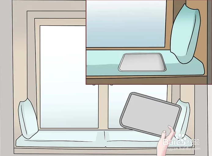 如何消灭黑蚂蚁