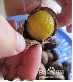 生活经验小常识
