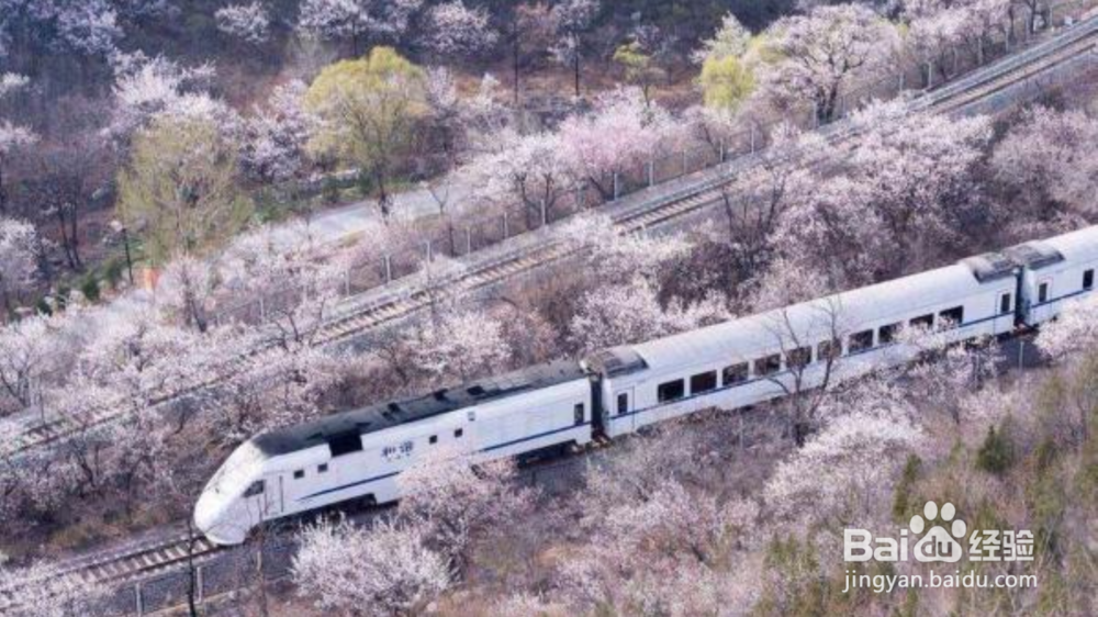 铁路院校学生面试铁路局攻略。