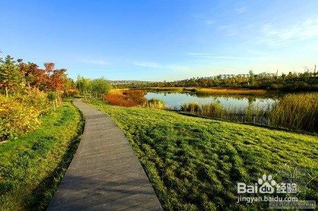 大同有什么好玩的地方— 大同旅游经验分享