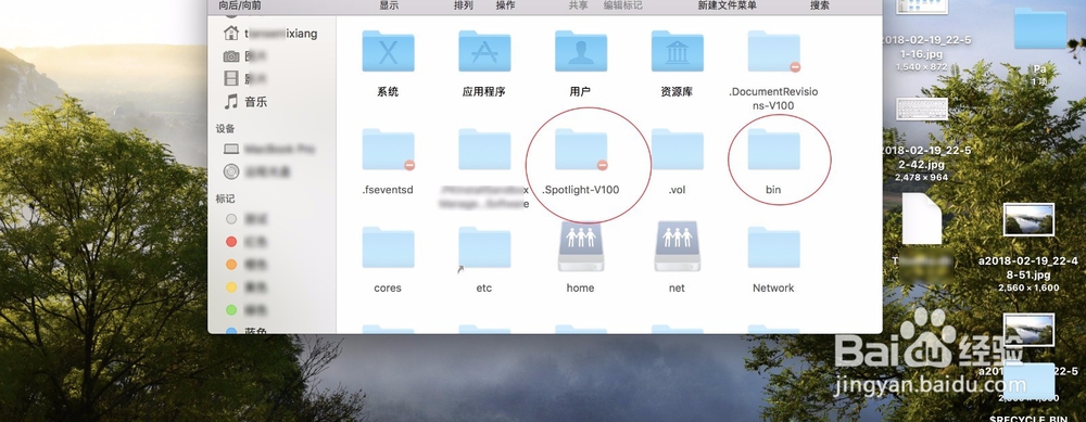 苹果Mac OS X显示隐藏文件的方法