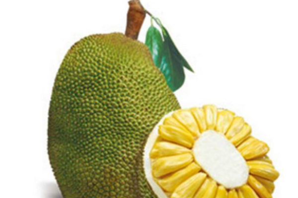 蛋白质含量高的水果有哪些