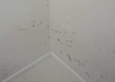 卧室墙面发霉还能睡吗