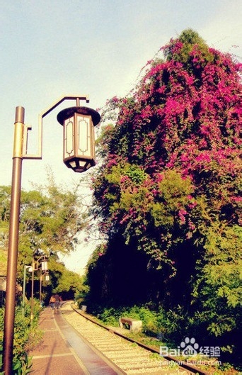 全世界最浪漫的铁路之一厦门铁路公园