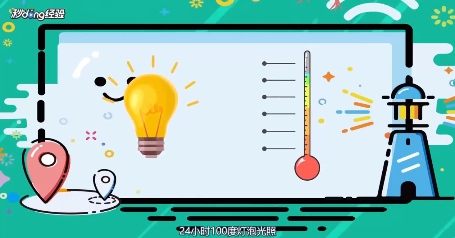 如何救活快死的小鸡呢