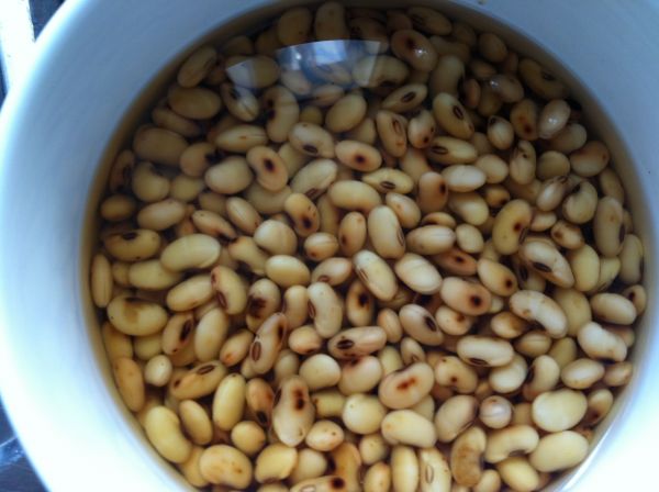 黄豆南乳猪尾煲