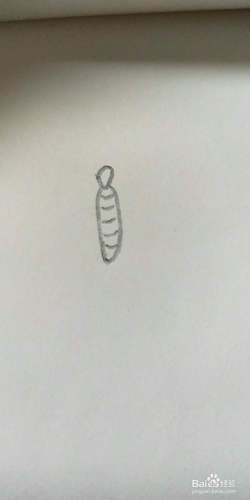 蝴蝶的简笔画教程