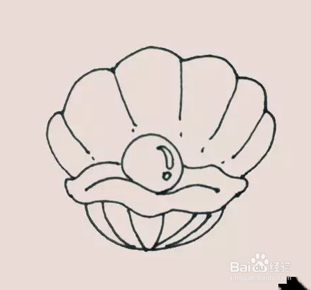 珍珠贝壳简笔画