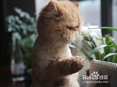 分手后女生如何快速走出痛苦的世界