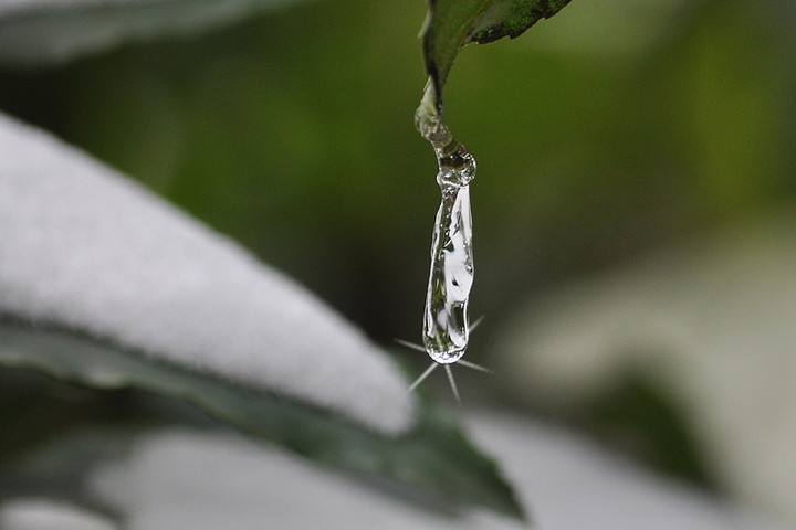滴水成冰数九天，玉石砌路粉妆山 这是啥意思
