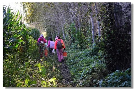 励志的话 正能量