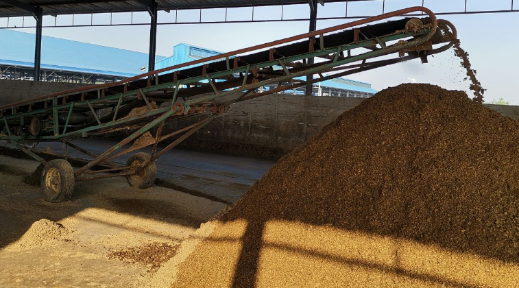 农村加工厂项目有哪些