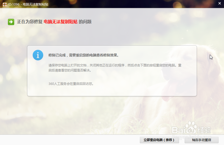 电脑无法复制粘贴